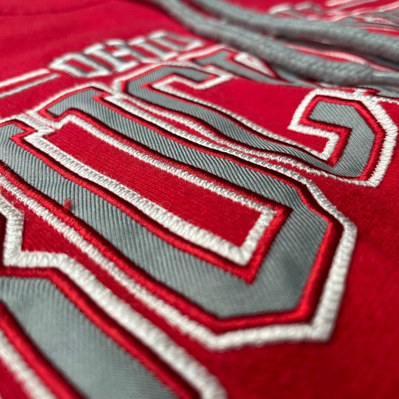 Ohio State Buckeyes Pullover Hoodie - Scarlet - Men's Large - Picture 2 of 7